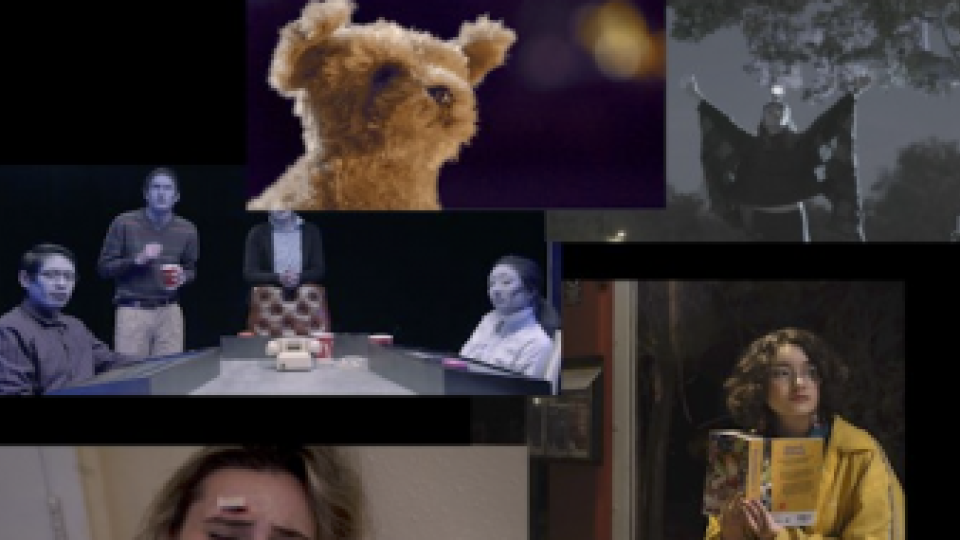 Collaborationon Advanced Narratives Web series