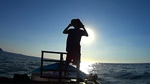 Still from Ciruela