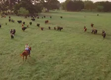 Still from Good Ol Girl_