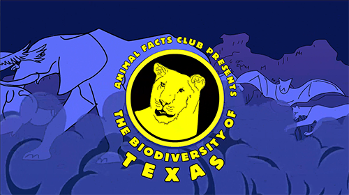 Still photo from Rachel Bardin's ANIMAL FACTS CLUB PRESENTS