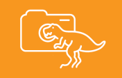 RTF orange dinosaur icon
