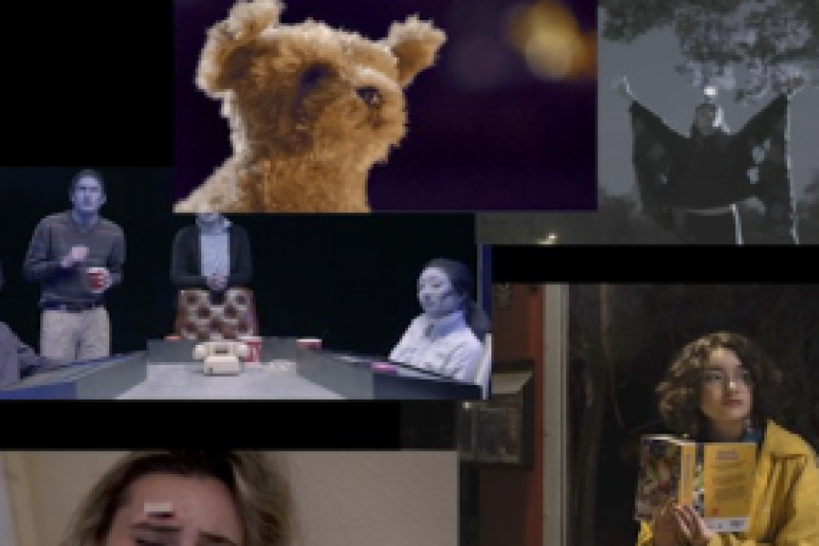 Collaborationon Advanced Narratives Web series